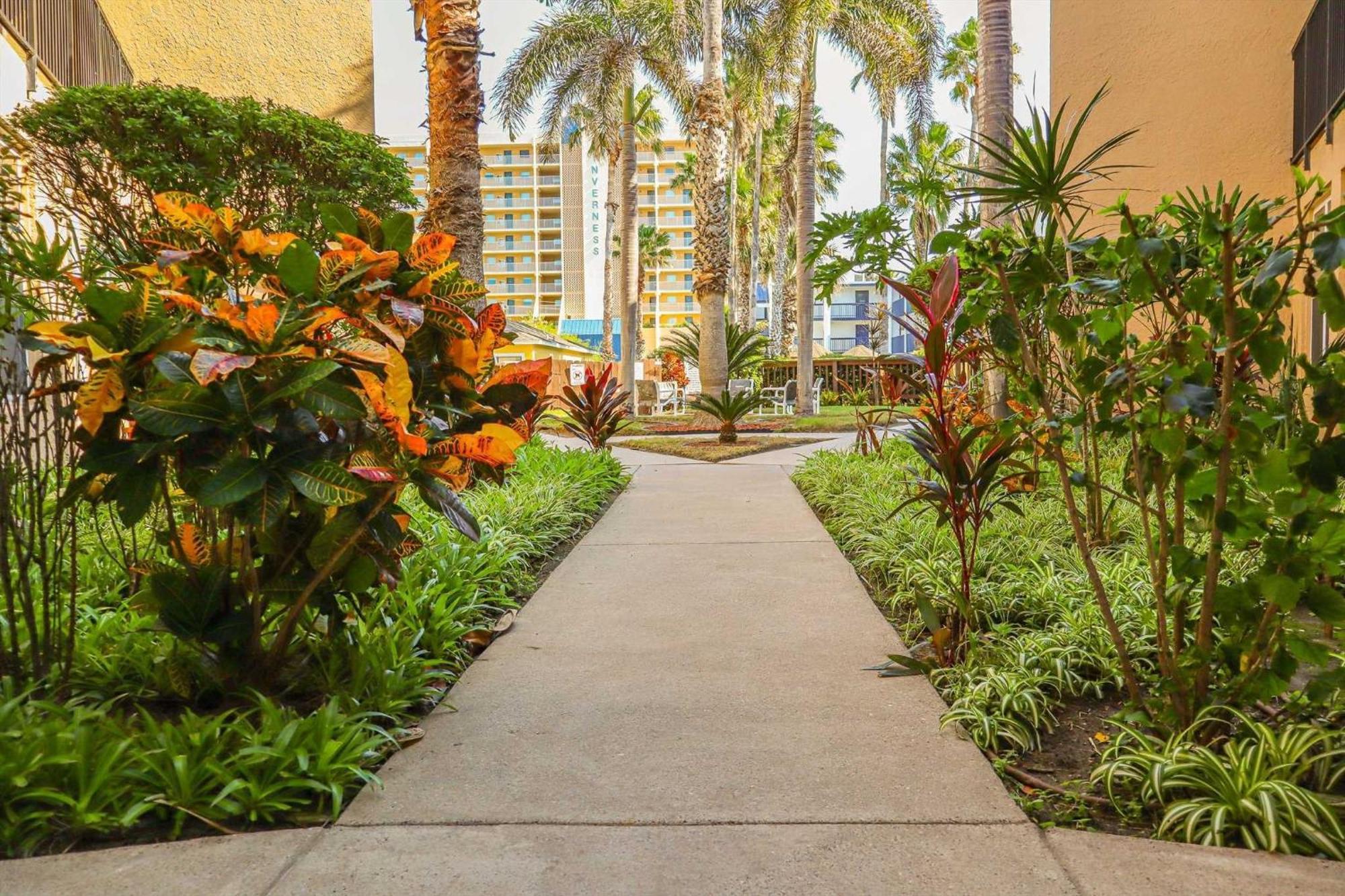 Surfside I 310 Condominium Condo South Padre Island Ngoại thất bức ảnh